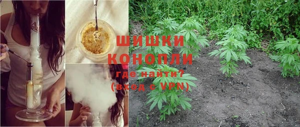 МДПВ Вяземский