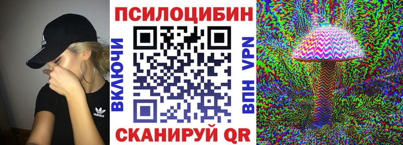 купить наркотики цена  Елизово  Псилоцибиновые грибы мухоморы 